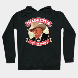 RETRO DIABEETUS I GOT THE SUGARS! Hoodie